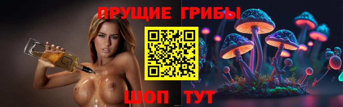 Галлюциногенные грибы Magic Shrooms Кувандык